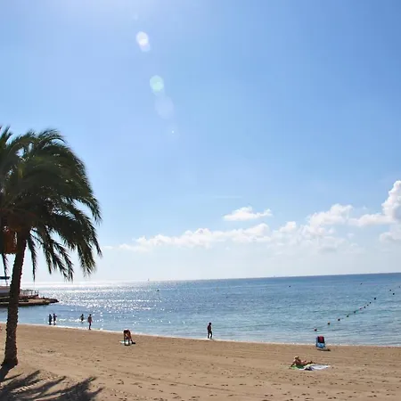 Absolute Beachfront